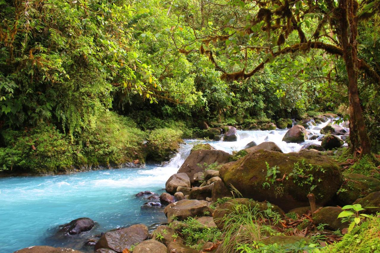 Rio Celeste Nature View Upala Exterior photo