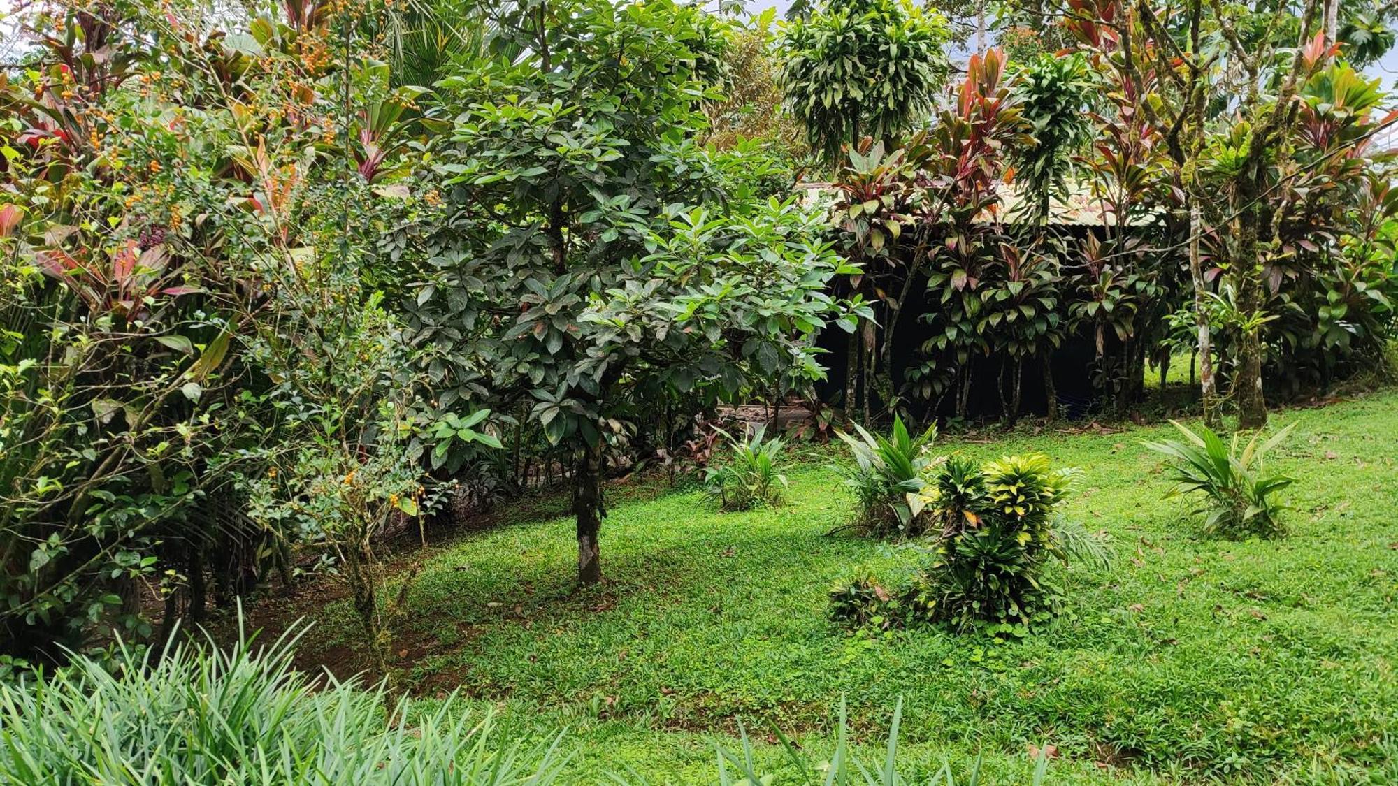 Rio Celeste Nature View Upala Room photo