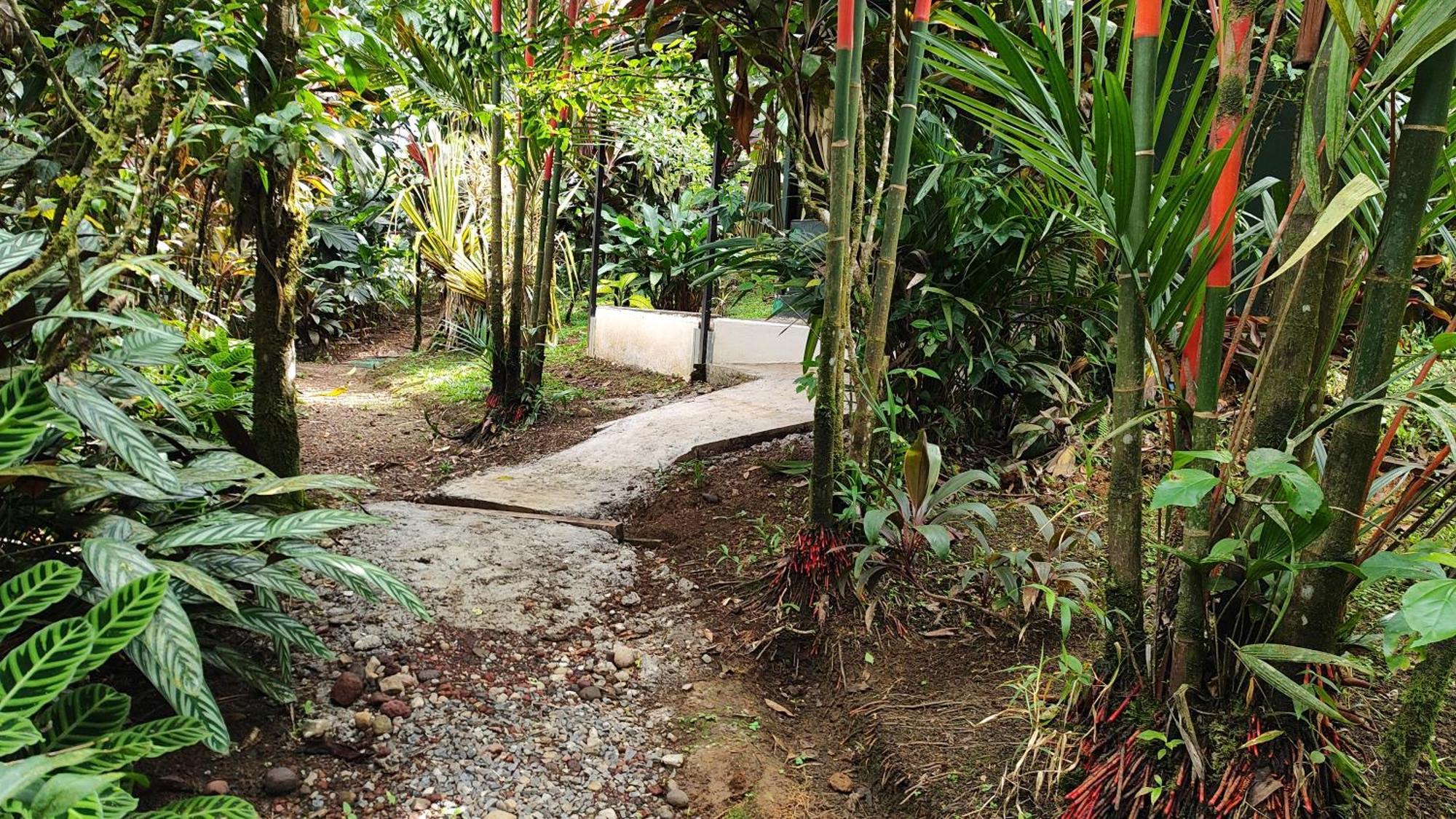 Rio Celeste Nature View Upala Room photo